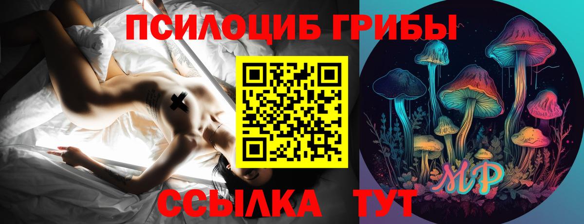 Галлюциногенные грибы Magic Shrooms  Вход с VPN  Псилоцибиновые грибы мухоморы  Черняховск 
