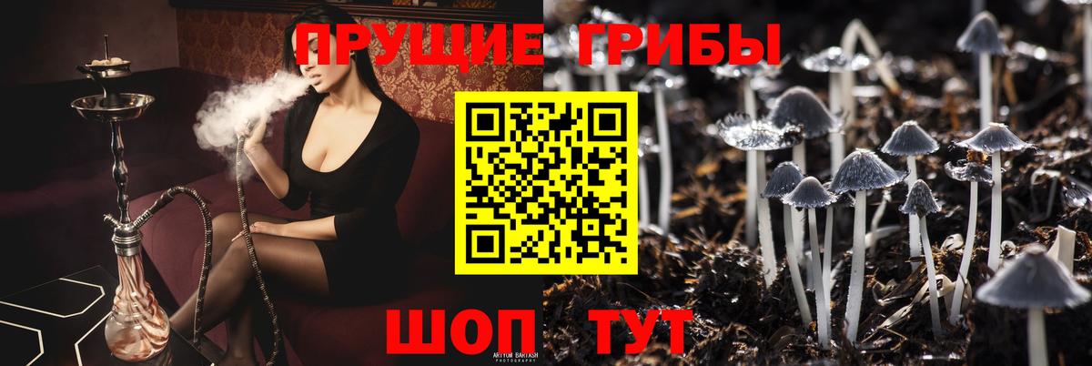 Галлюциногенные грибы ЛСД Черняховск